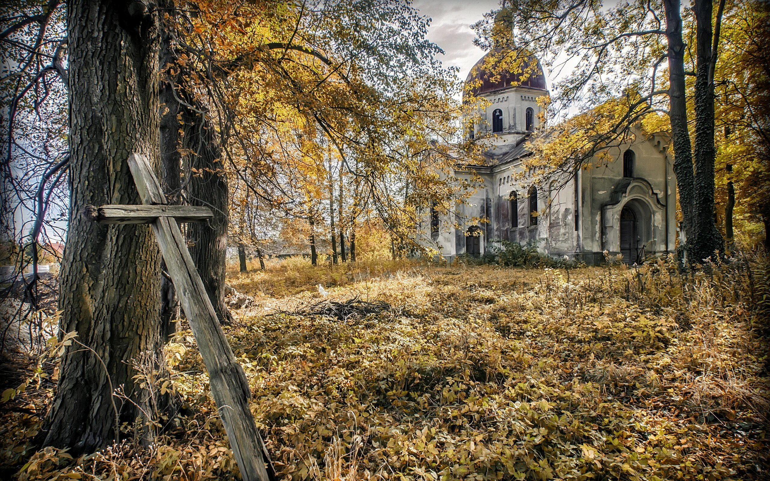 Старейший православный храм. Осенний православный храм в Архангельской области. Мельниково Церковь поздняя осень. Храм Свердловской области в лесу. Монастырь скит глушь.