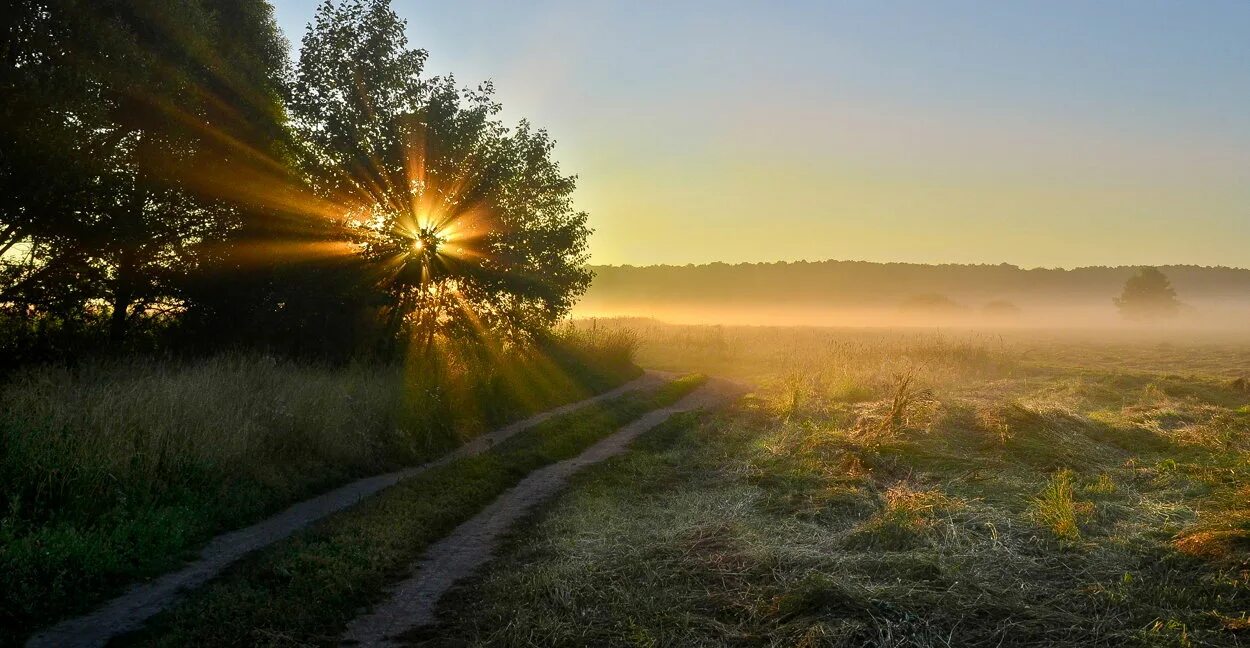 Весна солнце. Рассвет ранней весной. Весенний закат. Раннее солнышко. Солнце ранней весной.