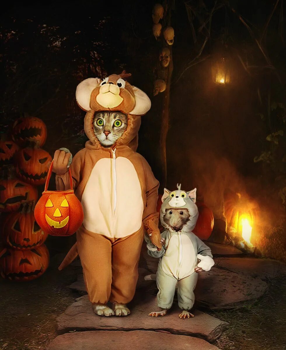 забавный хэллоуин. смешная тыква. смешная тыква. забавный хэллоуин. смешная тыква.