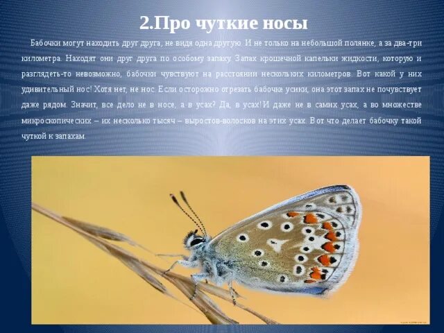 Почему комар чаще машет крыльями