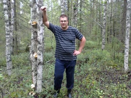 Ладанов сыктывкар