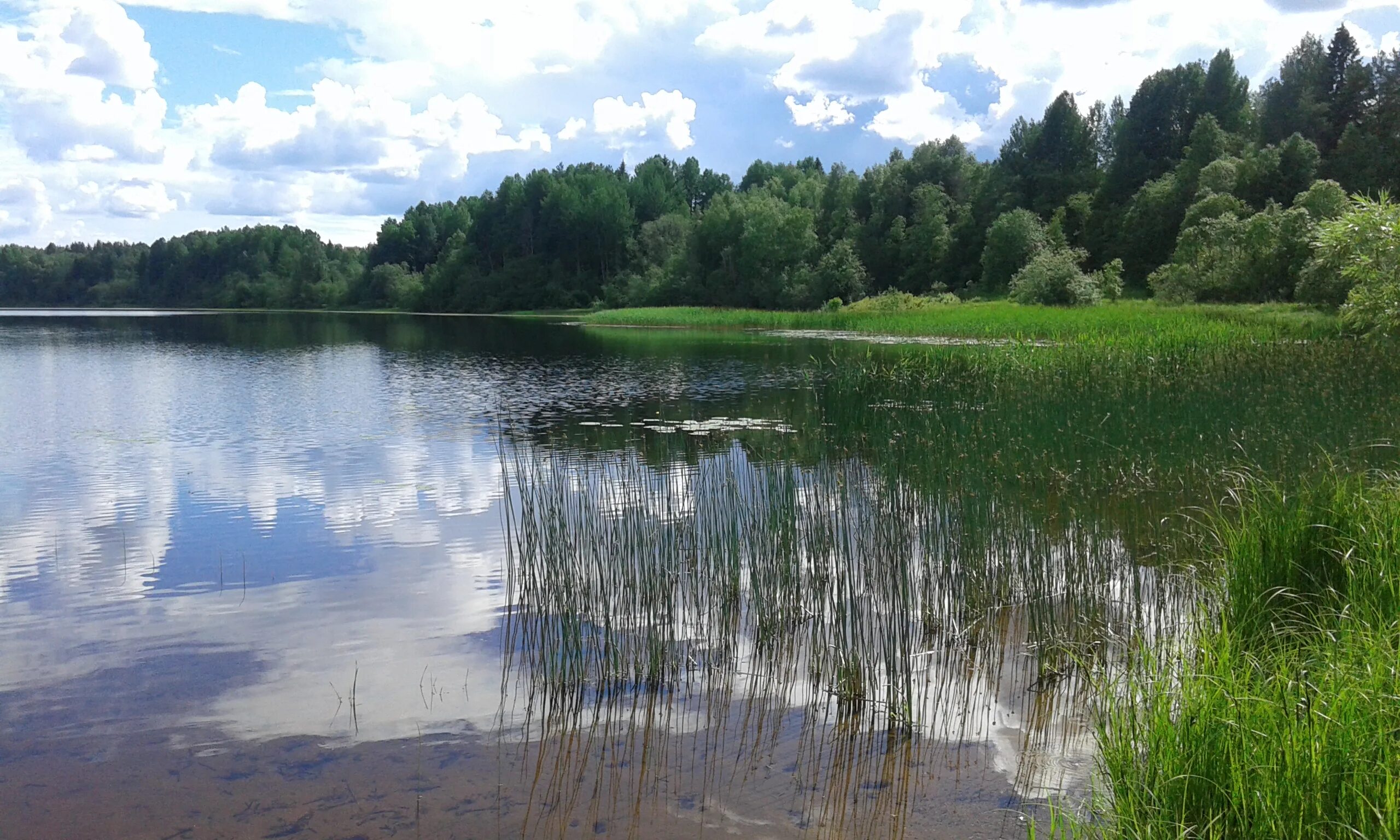 спасское озеро липецкая область. спасский пруд. владимирское водохранилище содышка. курнаков а. спасское озеро городец.