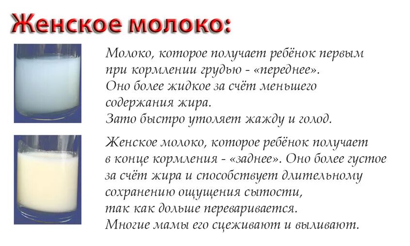 Почему молоко голубое. Молоко кормящей матери. Заднее и переднее молоко при гв. Переднее и заднее молоко при грудном вскармливании. Пропало грудное молоко причины.