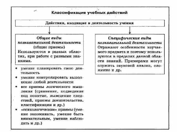Таблица форма деятельности фото - PwCalc.ru