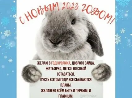 Новый год 2023 текст