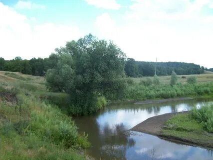 Алтайский край косихинский