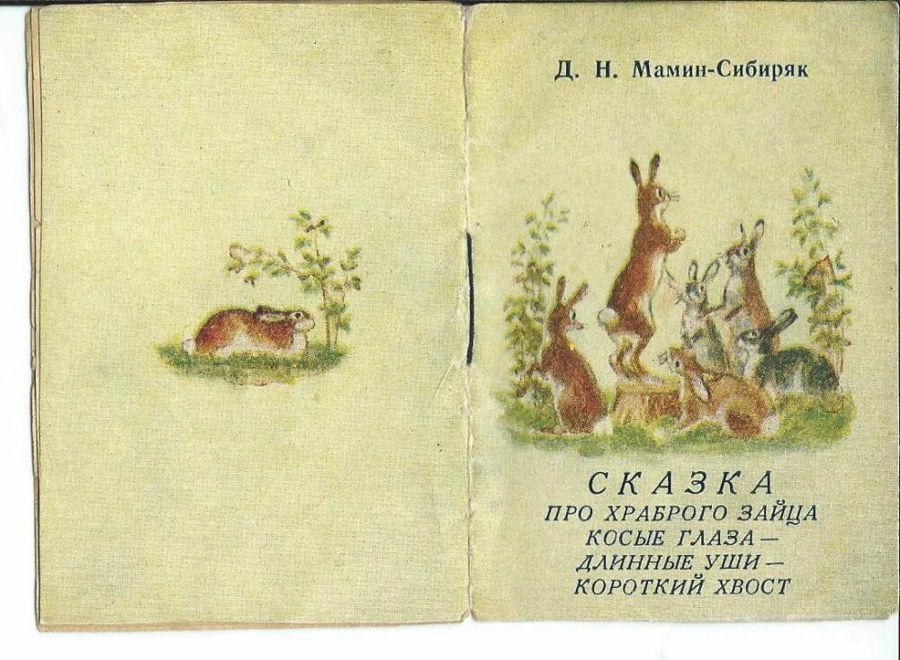 Д мамин сибиряк сказка про зайца. Раскроаска. Храбрый заяц мамин сибиряк. Мамин - сибиряк ( сказка про храброго зайца - длинные уши. Д.