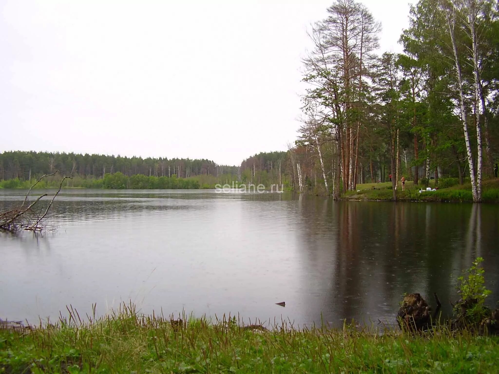 Озеро чистое рыбалка. Святое Тумботинское озеро. Озеро Кукуй Свердловская область. Озера пруды водохранилища. Тумботинский заповедник.