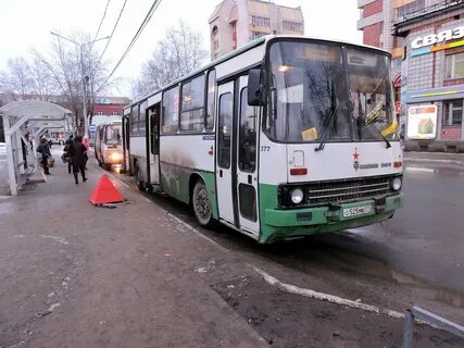 Автобус 5 сыктывкар