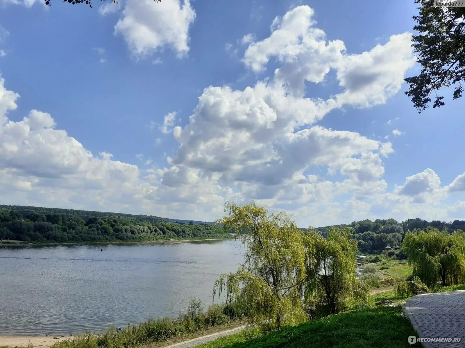 Прогноз тарусе
