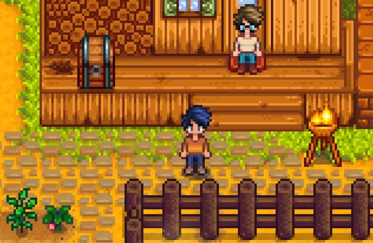 Stardew valley. Stardew valley фермы расстановка. Stardew valley мультиплеер. Stardew valley мультиплеер. Игра стардью валли.