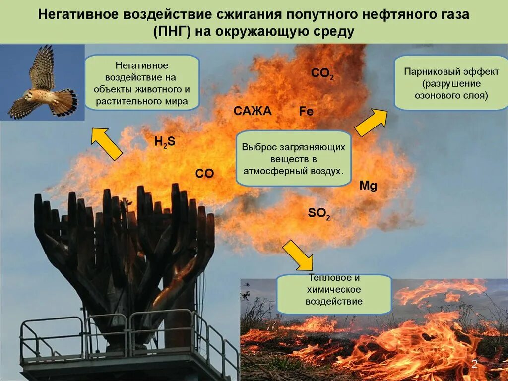 Влияние природного газа на окружающую среду. Влияние нефти и газа на окружающую среду. Влияние нефти на окружающую среду. Влияние добычи газа на окружающую среду.