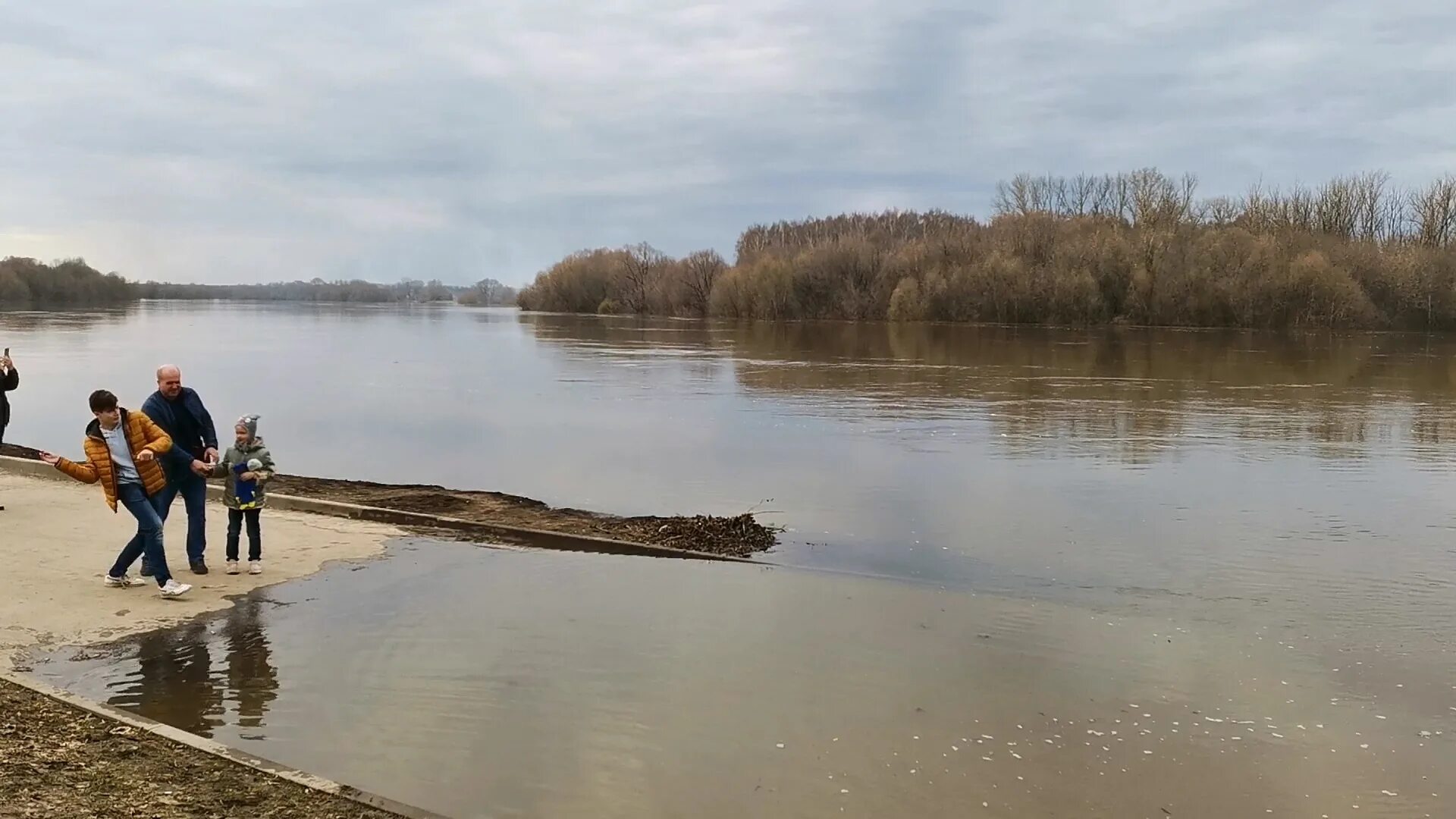 Уровень воды в белоомуте на сегодня оке. Лесопарк Рязань 2022. Ока река Рязань разлив. Разлив Оки в Рязани 2022. Лесопарк разлив Рязань.