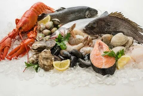 Sea food отзывы