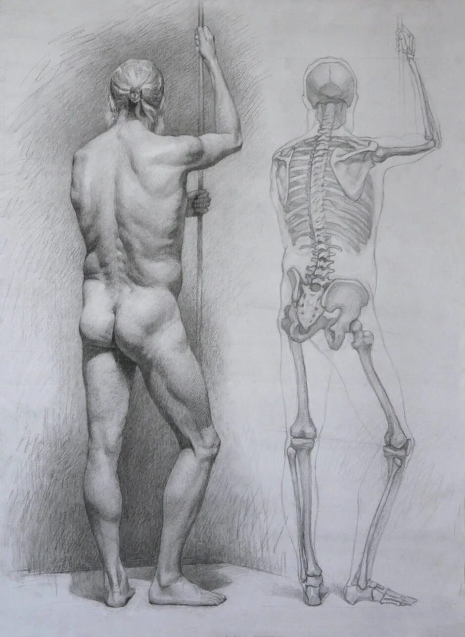 Фигура человека анатомия. Гудон скульптор Экорше. Экорше Микеланджело. Контрапост Микеланджело.