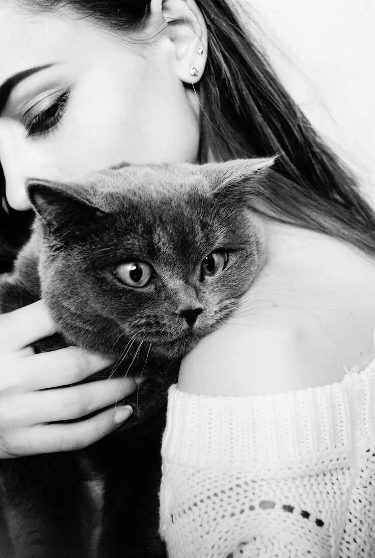 Картинка девушка с котом