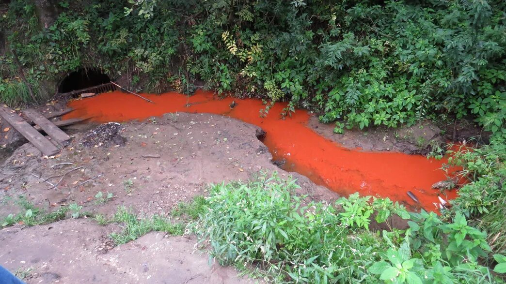 Видели в лесу родник с оранжевыми. Оранжевая речка. Вода в ручье оранжевая. Оранжевый Родник. Вода в речке оранжевая.