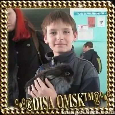 Диса омск. Диса омск. Лиса рб. Диса омск. Диса омск.