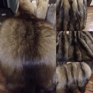 Как отличить соболь
