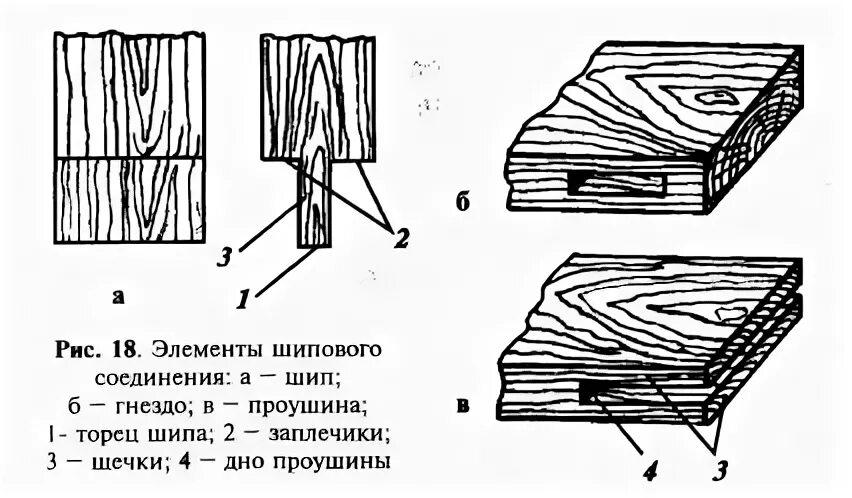 Выступ шипа