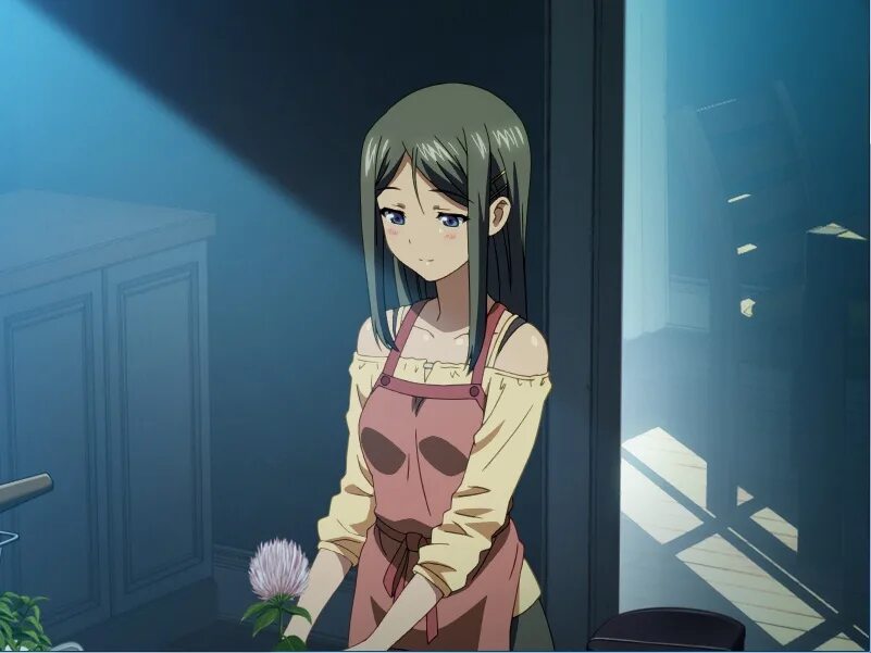 По ту сторону стекла персонажи. Sisters ~natsu no saigo no hi игра. Natsu no hi. Акико kamimura. Sisters ~natsu no saigo no hi~ ultra edition.