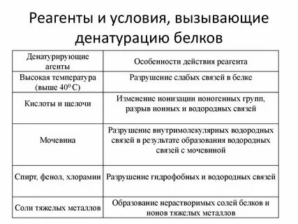 Денатурация факторы вызывающие денатурацию