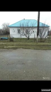 Авито курья