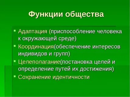 Поколение это в обществознании