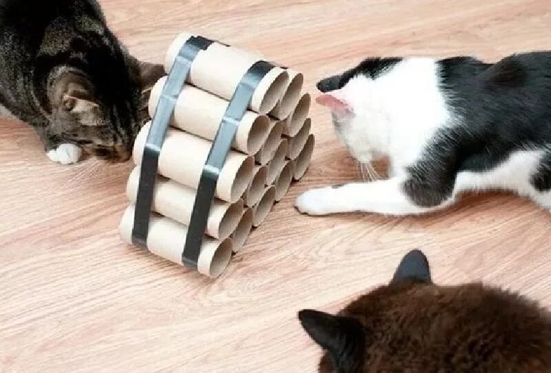 Какую игрушку можно сделать коту