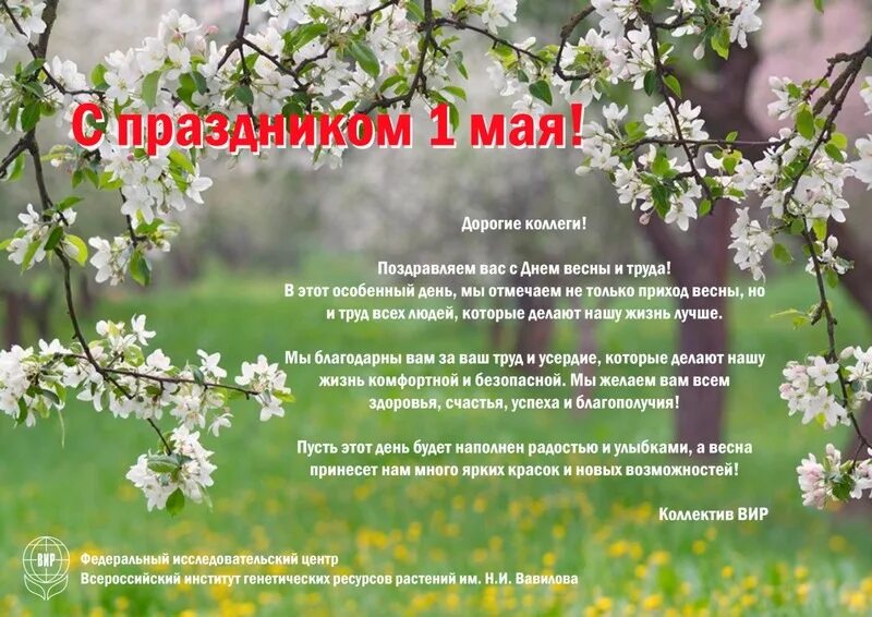 Аттестация апрель 2025