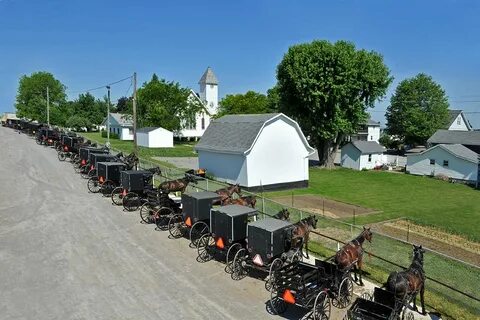 Farms sale