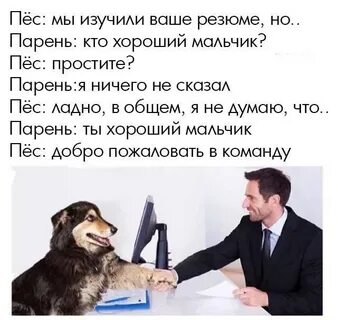 Хороший мальчик собака