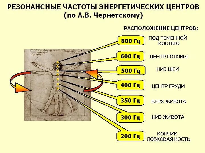 Резонансные частоты органов человека. Частота вибрации органов человека. Резонансные частоты органов человека таблица. Частота работы внутренних органов человека в Гц.