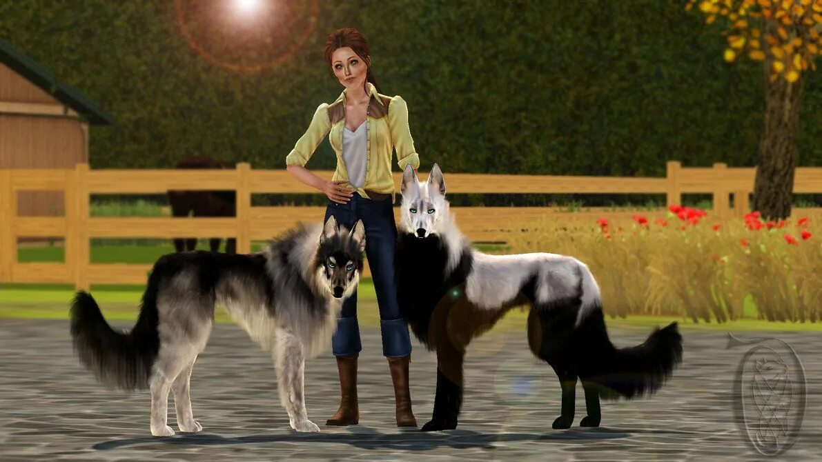 Колли в симс 4. SIMS 3 собаки. Бордер колли симс 4. Щенки the SIMS 3. Игра kinita pet