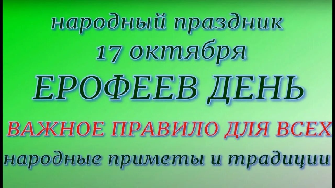 Какой праздник 17 октября 24 года. Семнадцатое октября.