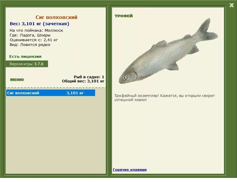 русская рыбалка сиг волховский. рыбалка 3 волхов. русская рыбалка 3 волхов небольшой просвет ямы. зацепы рр3. рыбалка 3 волхов.
