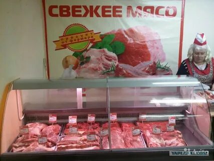 Принесите мясо тут голодные собаки