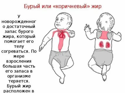Жиру дети