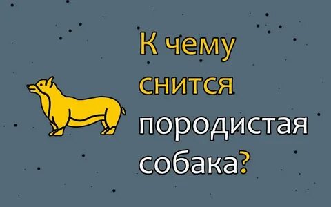 К чему снится собака