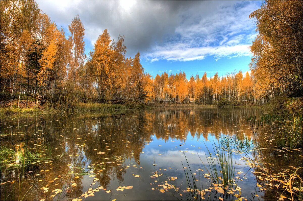 В сухое время года это озеро распадается. Осень лес река. Самое глубокое озеро в мире каспийское море. Пейзаж времена года. Поназырево осень река.