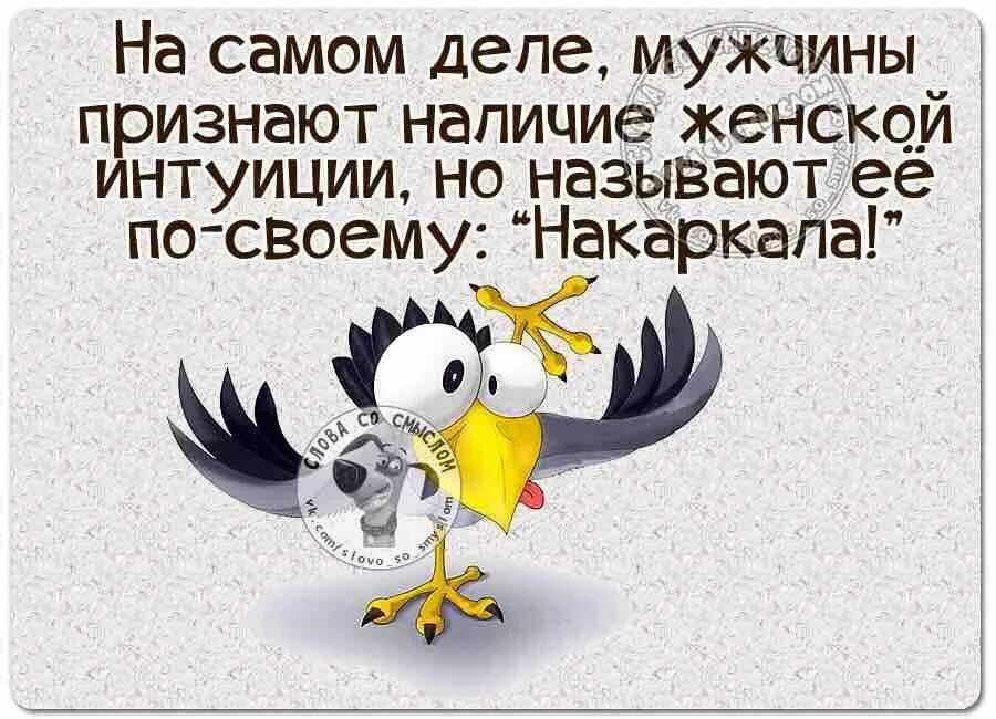 Ворона накаркала. Накаркала прикол. Накаркала картинки. Накаркала карикатура. Муж признал ребенка