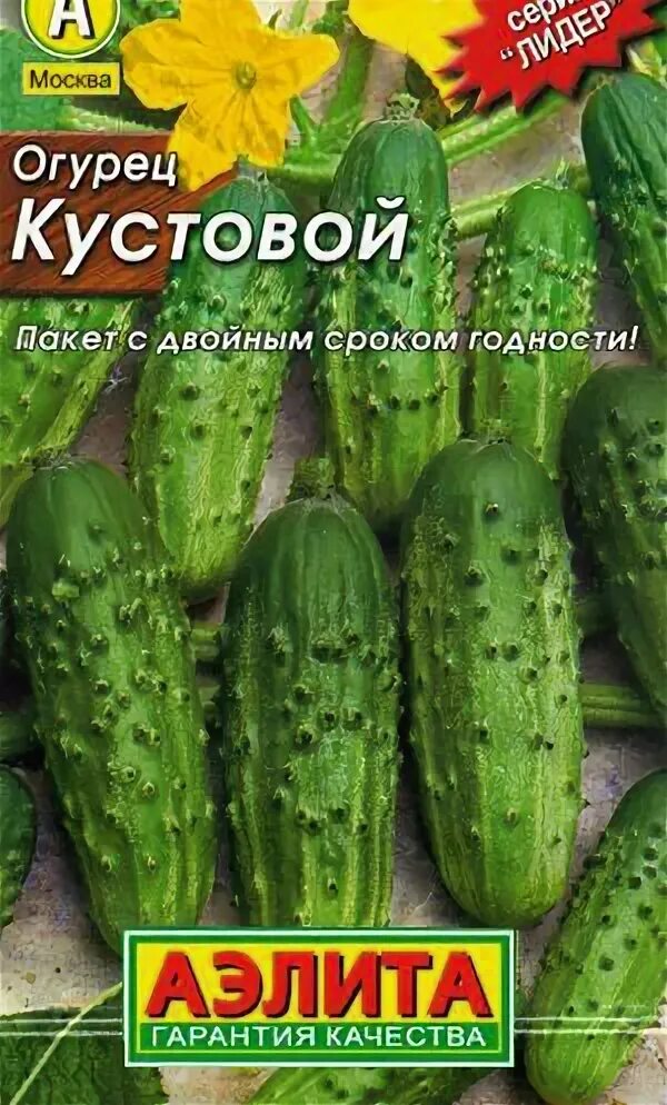 Огурец кустовой. Сорта огурцов самоопыляемые кустовые. Семена алтая огурцы для открытого грунта. Огурец кустовой описание сорта. Семена огурец кустовой.