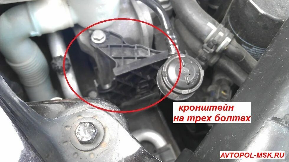 Шкода а5 адсорбер. Адсорбер шкода йети 1. Клапан абсорбера шкода октавия а5 1. 8. Адсорбер на шкода суперб 2.