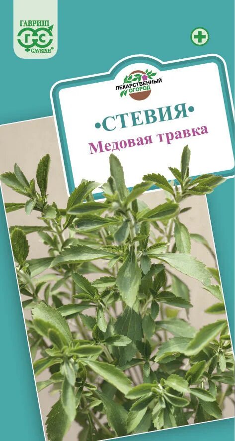 Трава стевия для чего принимают. Стевия медовая трава русский огород. стевия медовая рассада. стевия медовая цветы фото. гавриш стевия медовая травка.