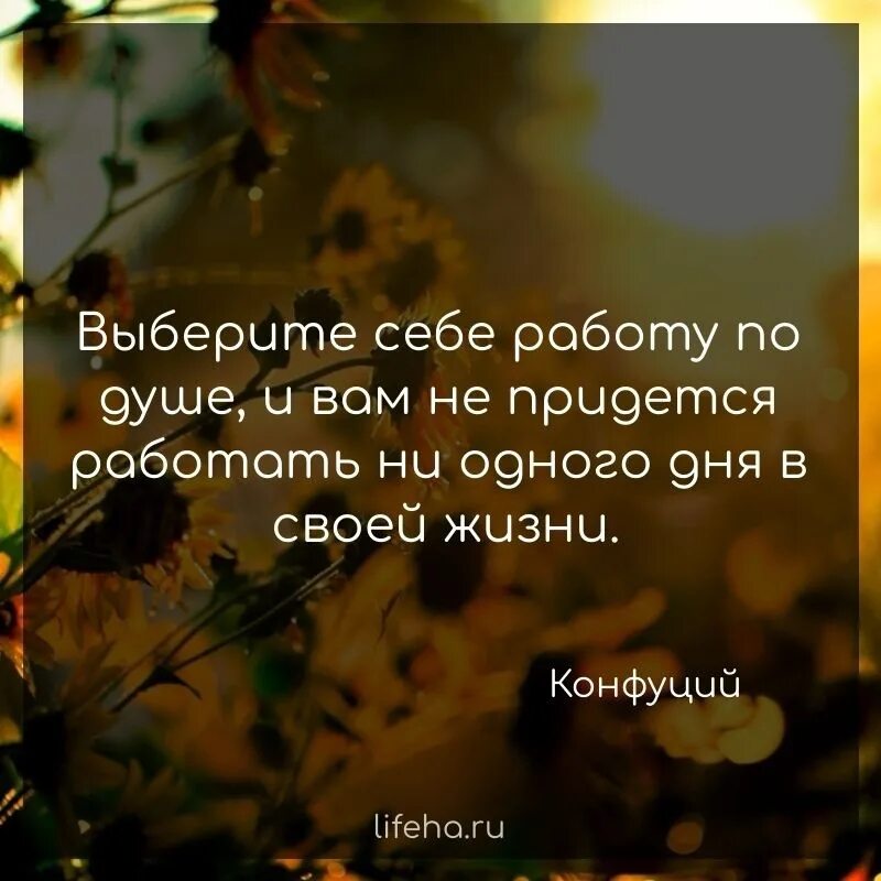 И тебе не придется работать ни дня. Найти себе работу по душе. Найди работу по душе. Найдите себе работу по душе и вам не придется работать.