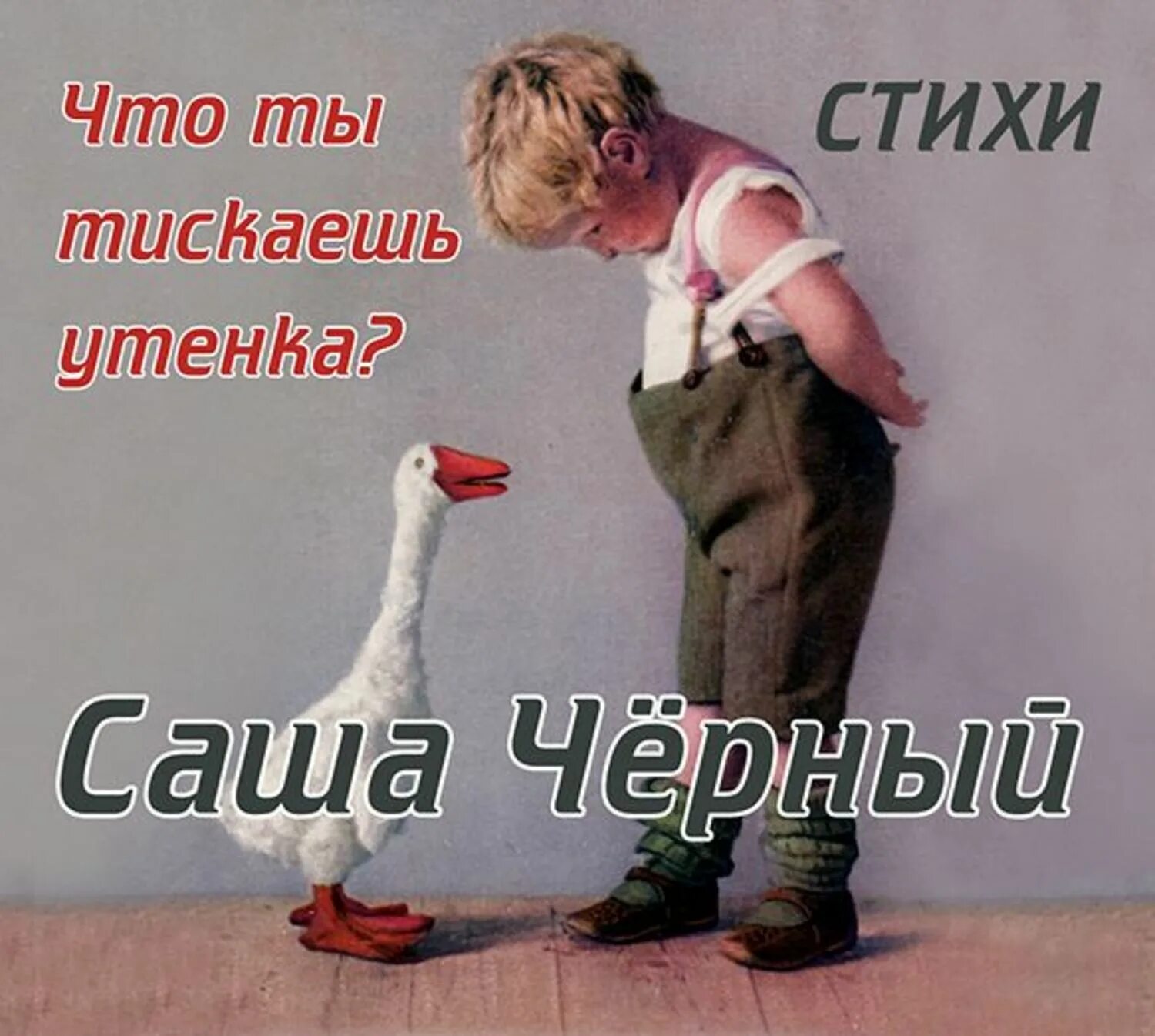 Саша черный утенок. Стих что ты тискаешь утёнка. Что ты тискаешь утенка Саша черный. Саша чёрный что тискаешь утенка.