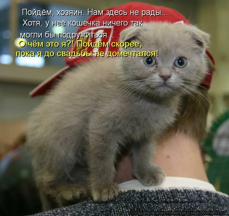 Я очень рада была тебя видеть. Кошкомать года. Сплюнь через левое плечо что значит. Прикольные надписи с котиками. Анекдоты про депрессию.