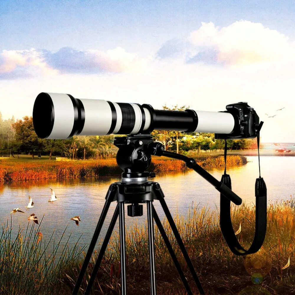 Телевик для canon. Объектив кэнон телевик. объектив 1300mm. объектив walimex 800mm f/8.0 dslr dx 4/3. объектив bower 800mm f/8 t-mount.