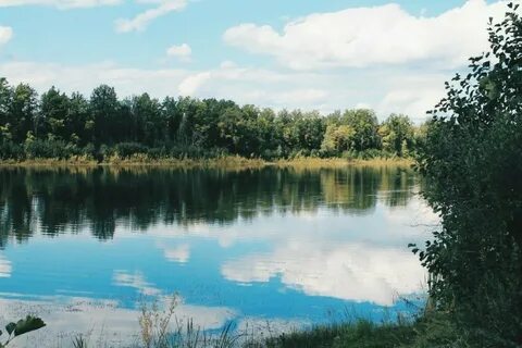 Бирском районе