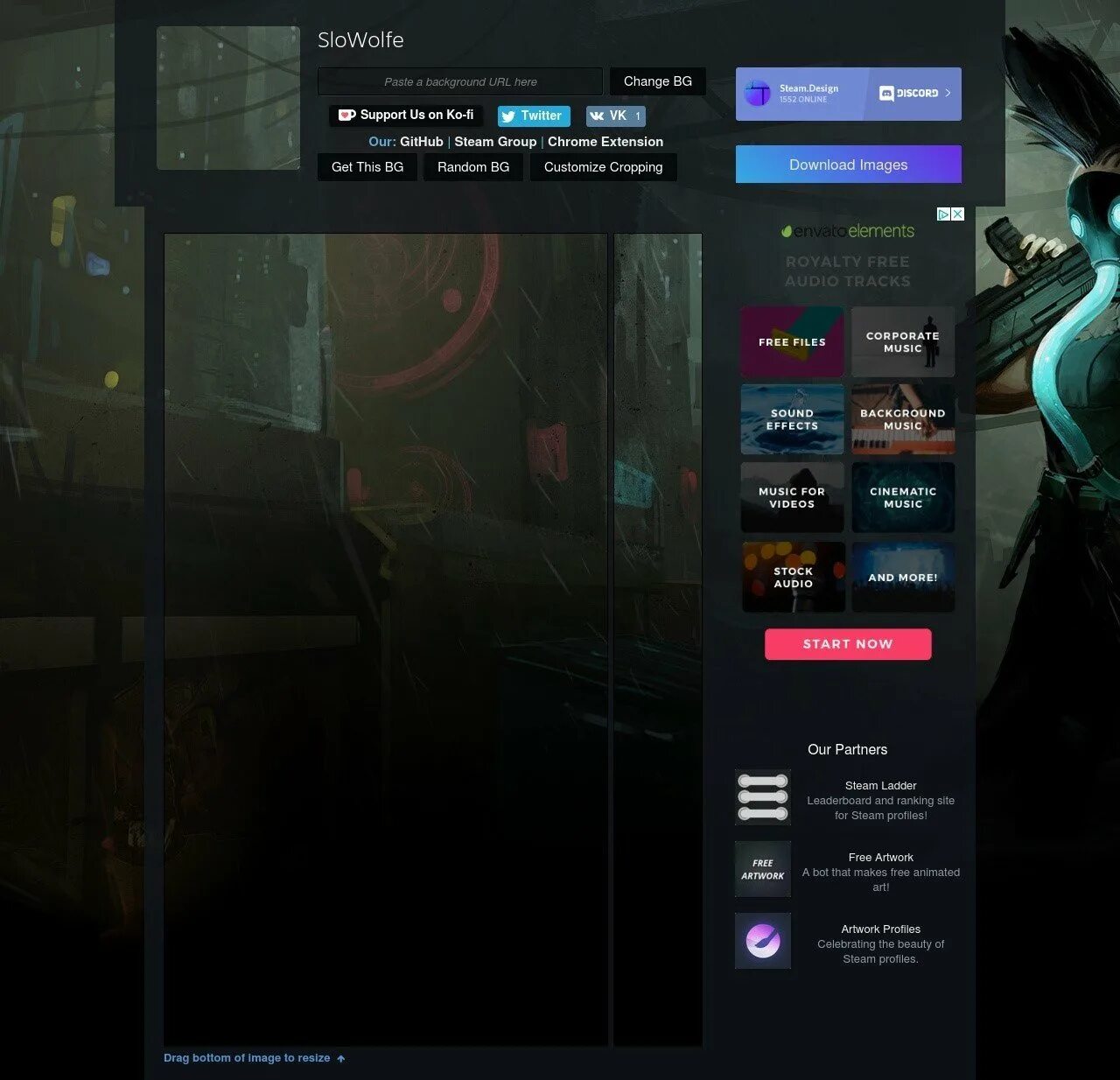 Steam profile